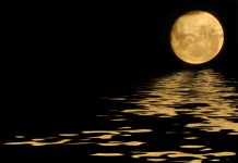 Luna garantiza existencia planetaria de la Tierra