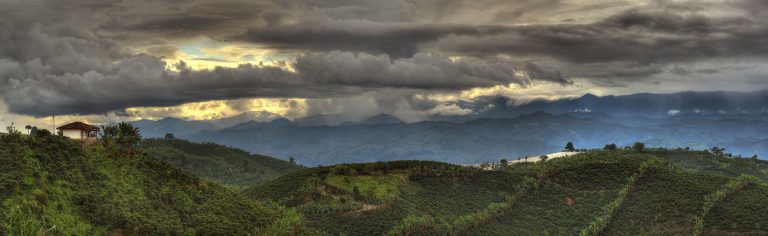 paisaje-cafetero1