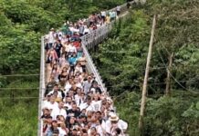 Los Malos Perdedores Apestan!